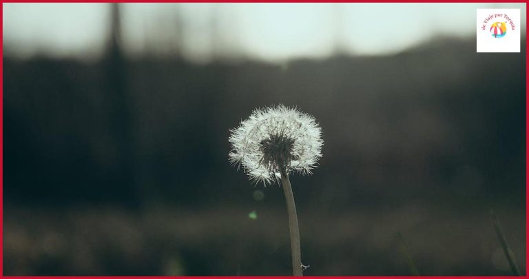 ¿Qué visitar en Gaziantep? Descubre la perla del sudeste de Anatolia